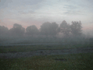 willow lake fog